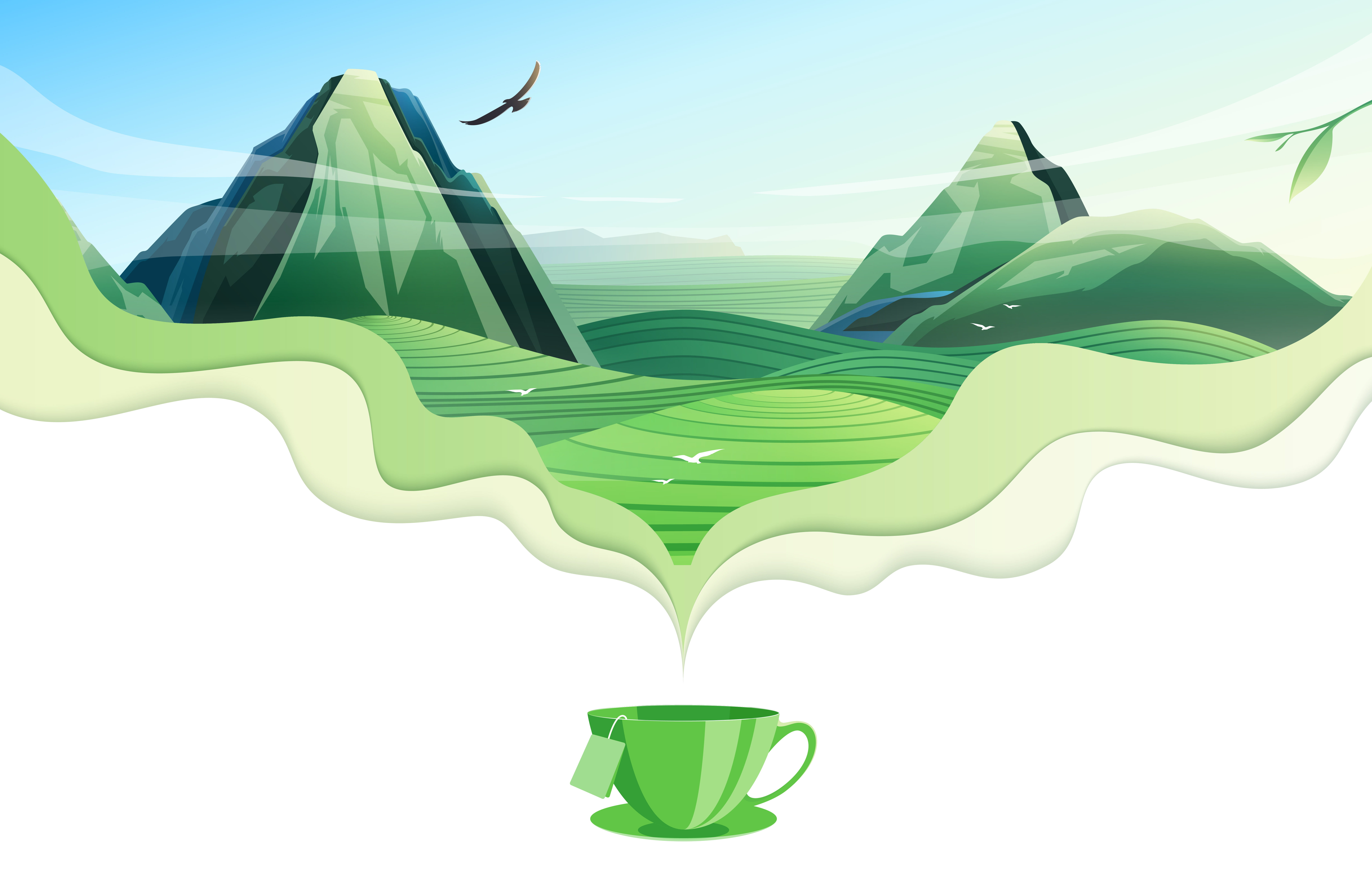 Moringa Tea